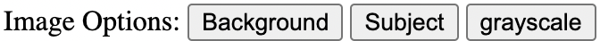 Visual of Image Options Area